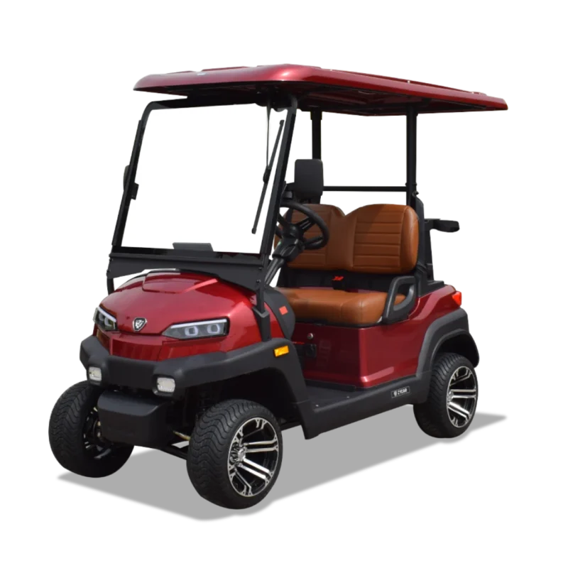 Electric Car