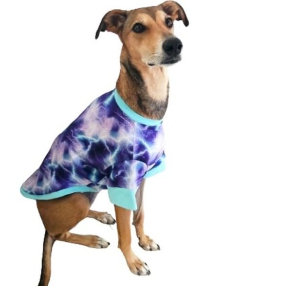 Pet Clothing
