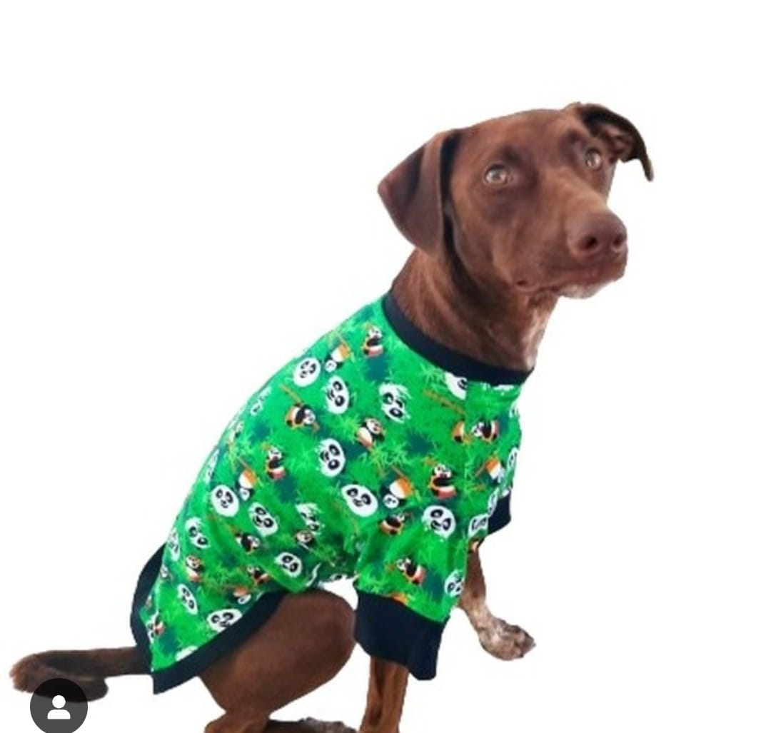 Pet Clothing Spain