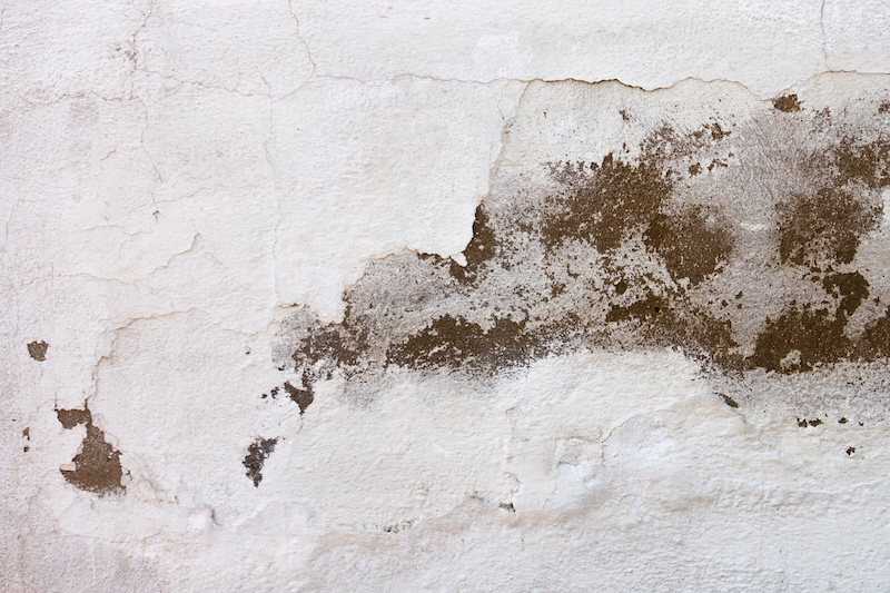 Mould Prevention