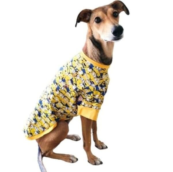 Pet Clothing
