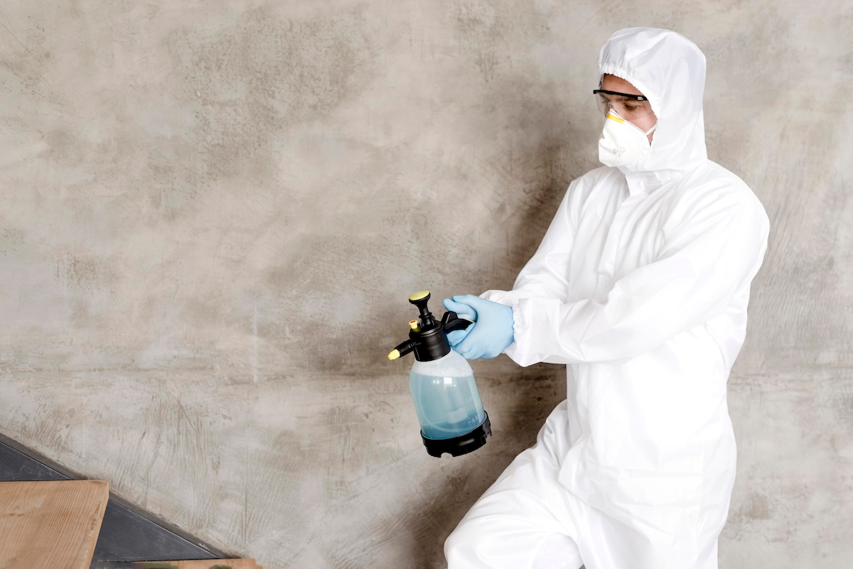 Mould Prevention: Keep Your Home Healthy and Safe.